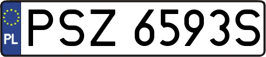 PSZ6593S