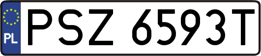 PSZ6593T