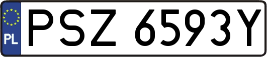 PSZ6593Y