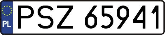 PSZ65941