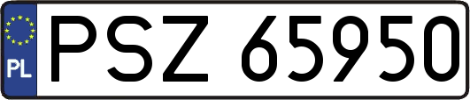 PSZ65950