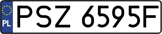 PSZ6595F