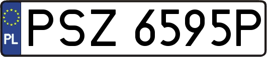 PSZ6595P