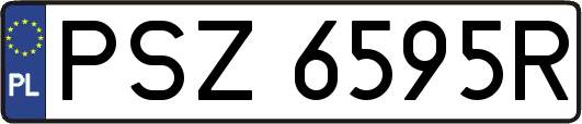 PSZ6595R