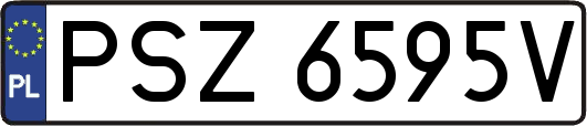 PSZ6595V