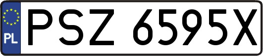 PSZ6595X