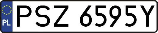 PSZ6595Y