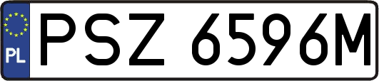 PSZ6596M