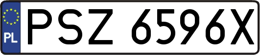 PSZ6596X