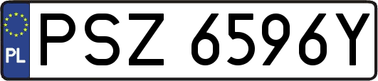 PSZ6596Y
