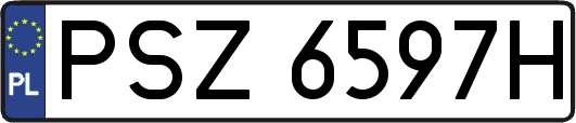 PSZ6597H