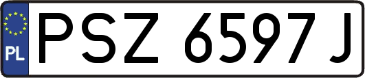 PSZ6597J