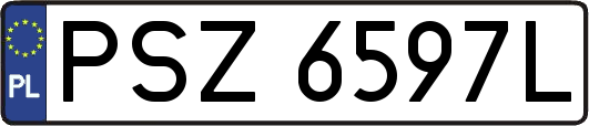 PSZ6597L