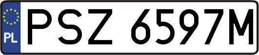 PSZ6597M