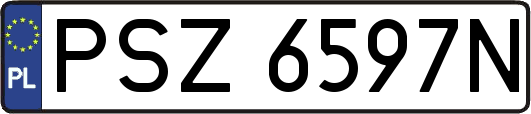PSZ6597N