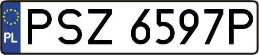 PSZ6597P