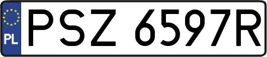 PSZ6597R