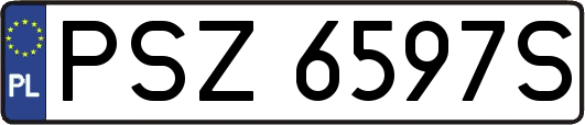 PSZ6597S