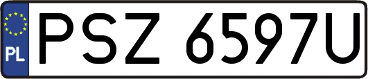 PSZ6597U