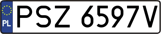 PSZ6597V