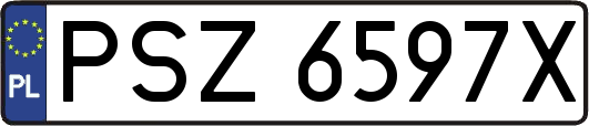 PSZ6597X