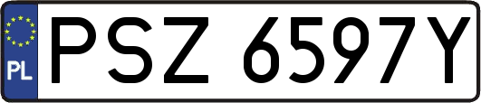 PSZ6597Y