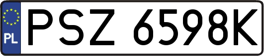 PSZ6598K