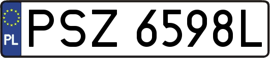 PSZ6598L