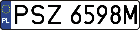 PSZ6598M