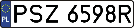 PSZ6598R
