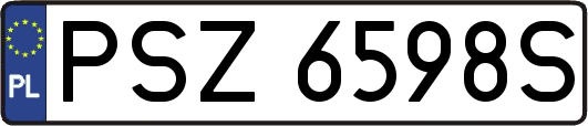 PSZ6598S