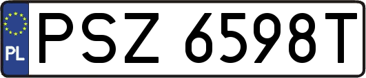 PSZ6598T