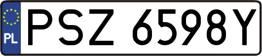 PSZ6598Y