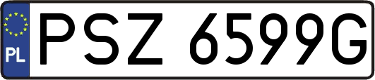 PSZ6599G