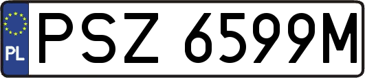 PSZ6599M