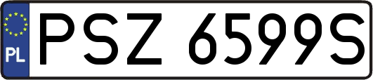 PSZ6599S