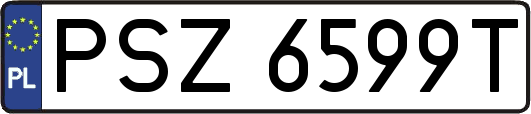 PSZ6599T