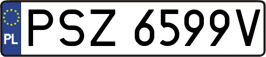 PSZ6599V