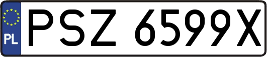 PSZ6599X