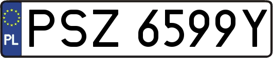 PSZ6599Y