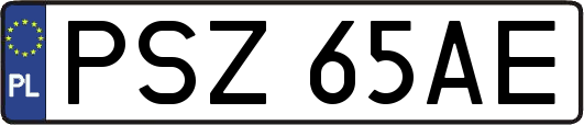 PSZ65AE