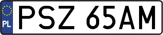 PSZ65AM