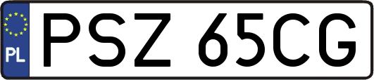 PSZ65CG