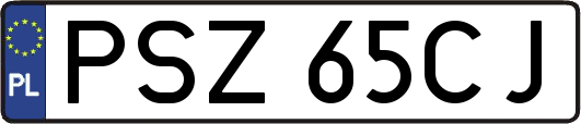 PSZ65CJ