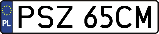 PSZ65CM