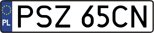 PSZ65CN