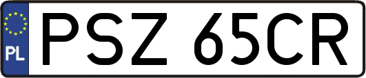PSZ65CR