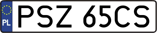PSZ65CS
