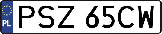 PSZ65CW