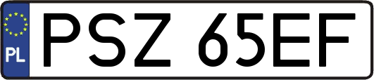 PSZ65EF